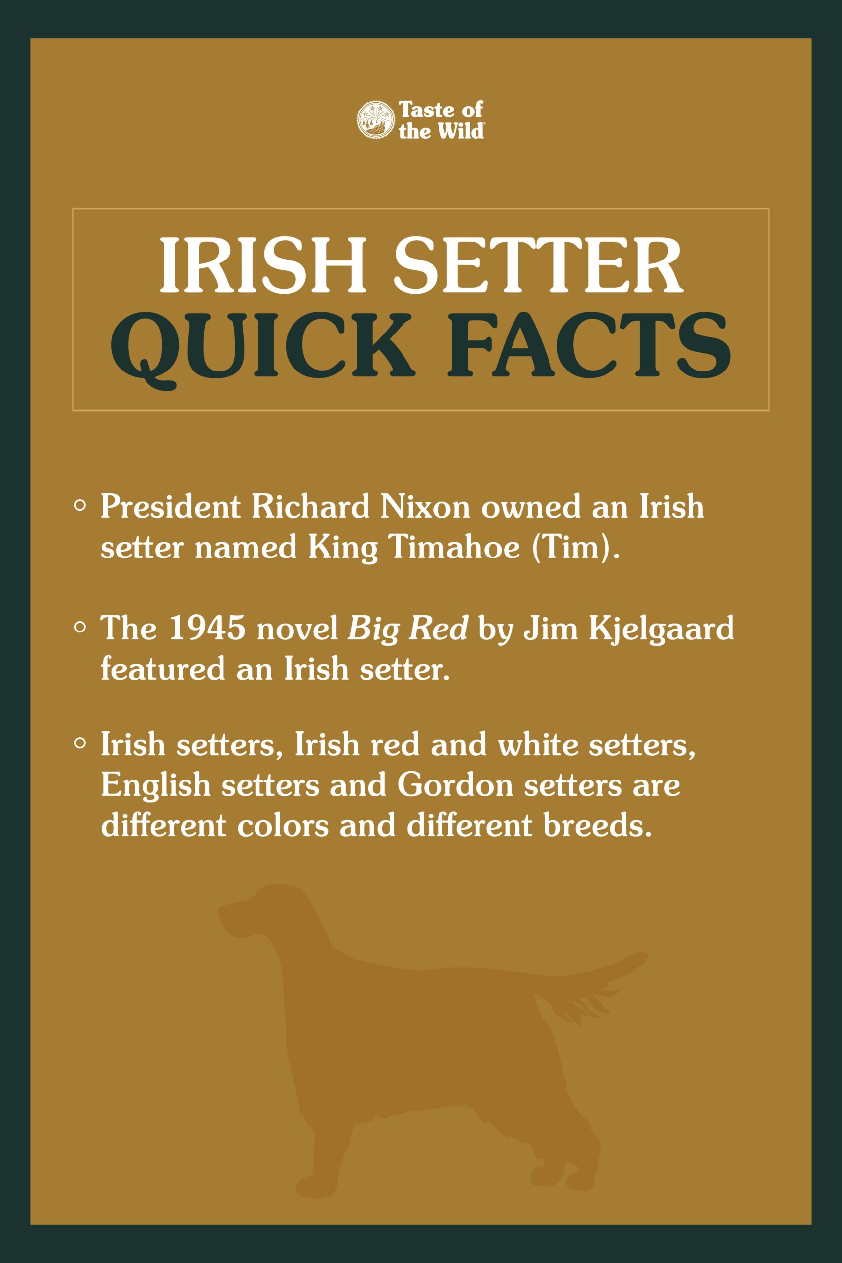 Interior image listing quick facts about Irish setters.