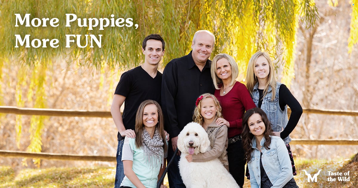 An interior infographic detailing various facts about breeding dog nutrition.