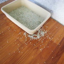 A used litter box with litter scattered all over the floor.