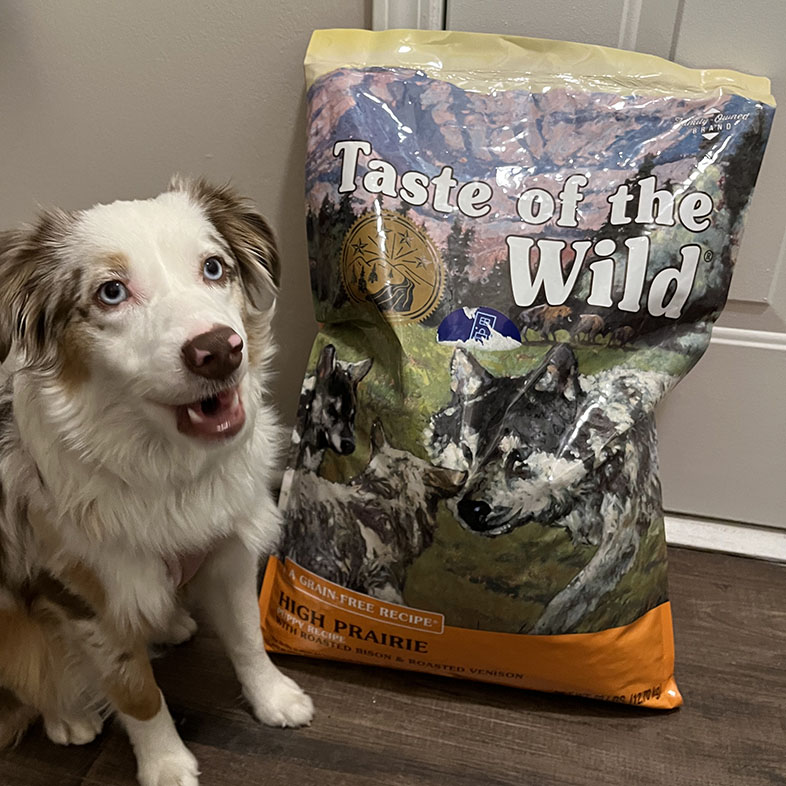 Mini Aussie Next to Taste of the Wild Food Bag | Taste of the Wild