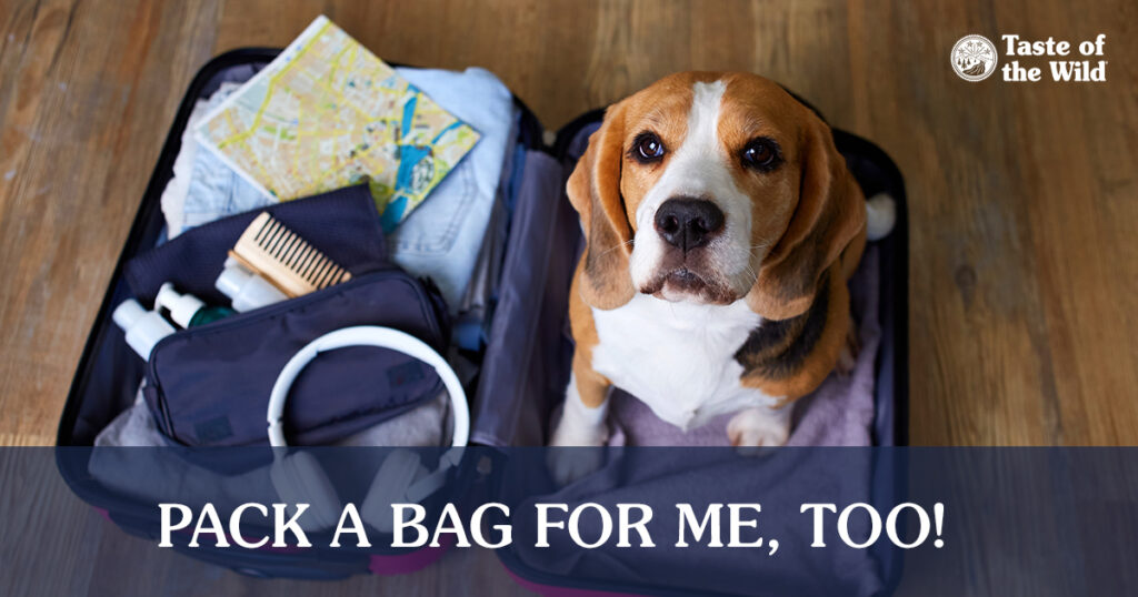 An open suitcase full of clothes with a tan and white dog sitting in it next to text that reads, ‘Pack a bag for me, too!’.