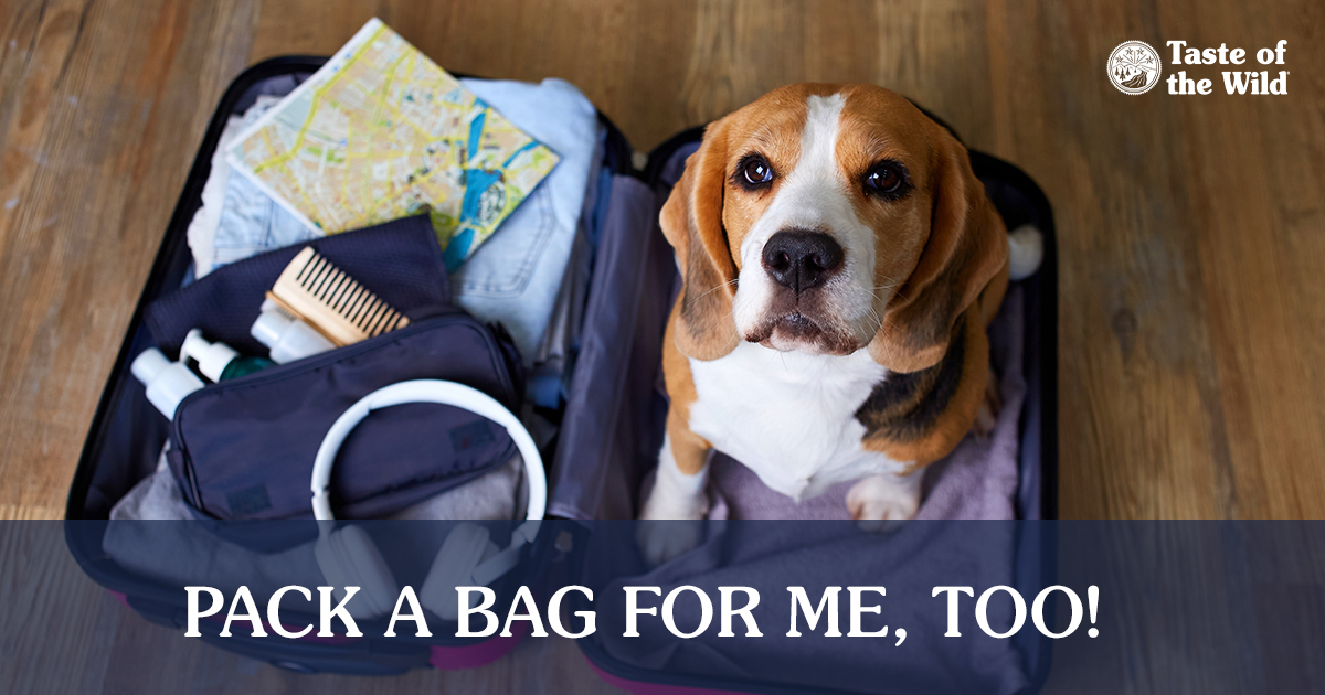An open suitcase full of clothes with a tan and white dog sitting in it next to text that reads, ‘Pack a bag for me, too!’.