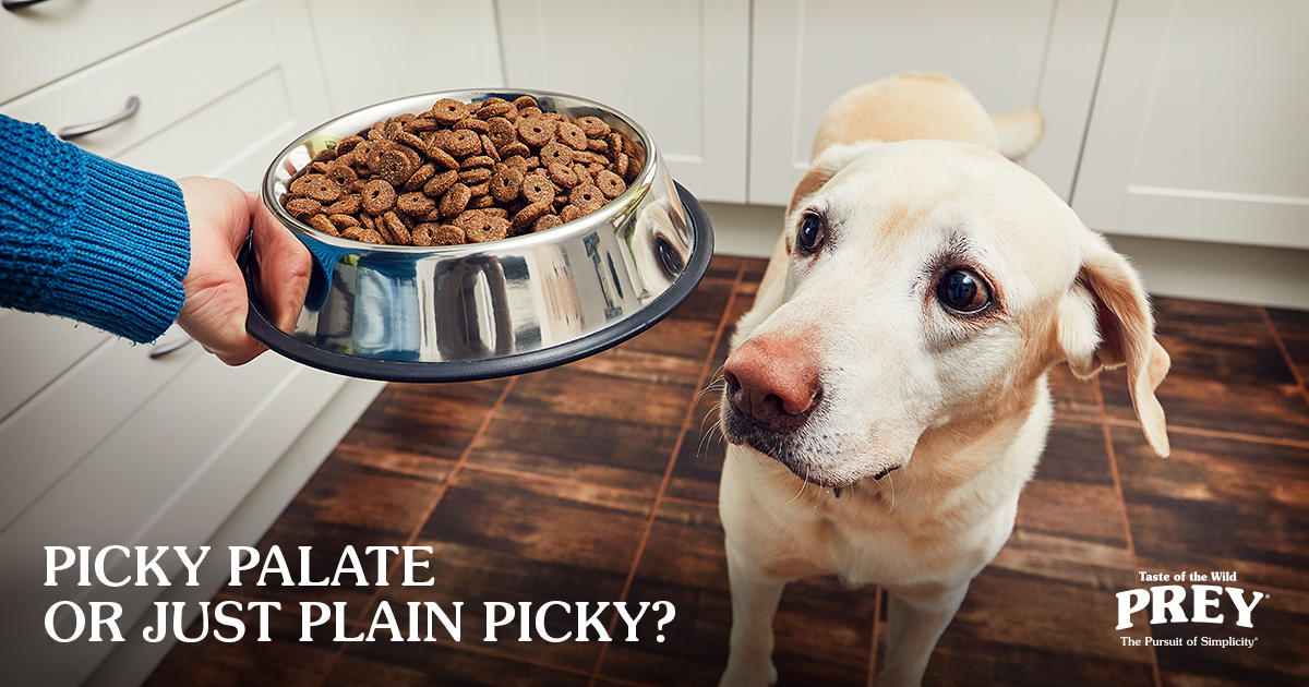 Prey Pet Food