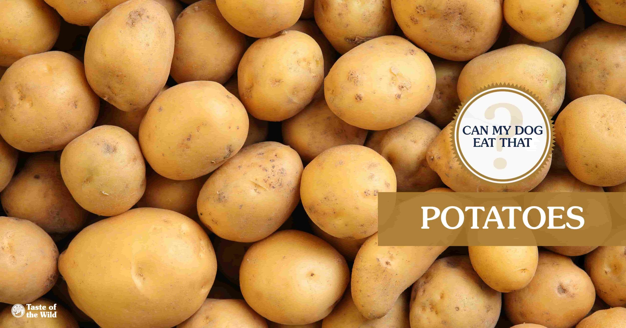 An interior graphic with text that reads ‘Can my dog eat potatoes? Yes! (if they are cooked and plain)’.