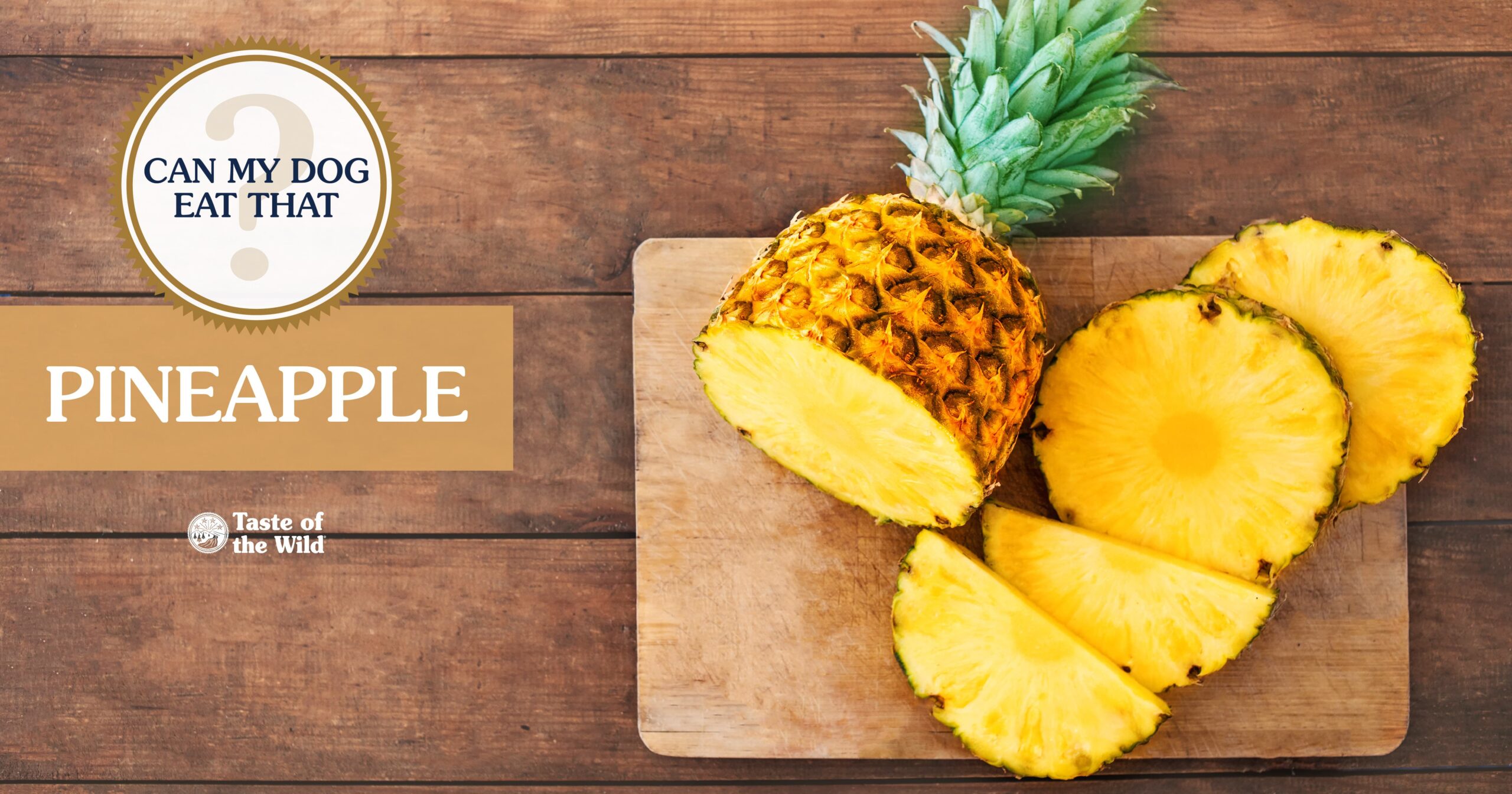 Interior graphic with text that reads ‘Can my dog eat pineapple? Yes (the fleshy part)’.