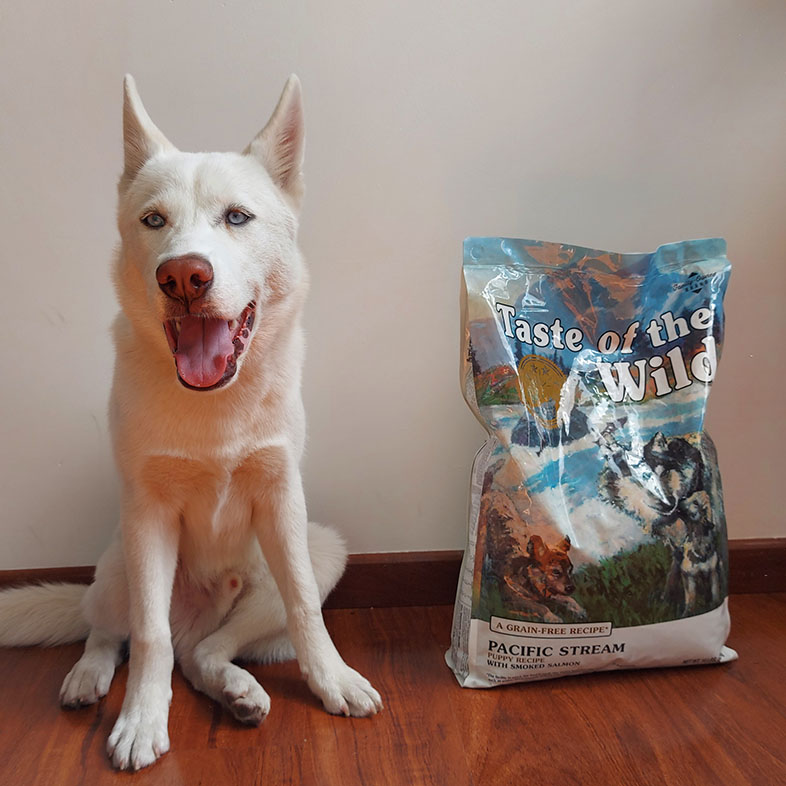 Siberian Husky Sitting Next to Taste of the Wild Food Bag | Taste of the Wild