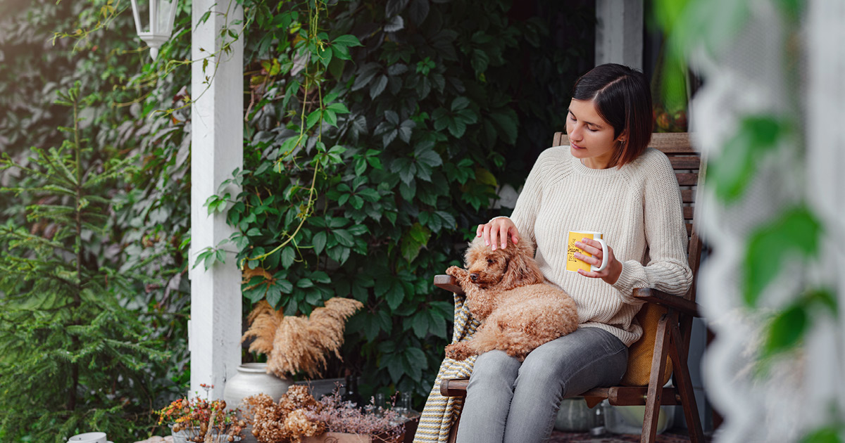 A small dog sitting out on a porch on its owner’s lap.