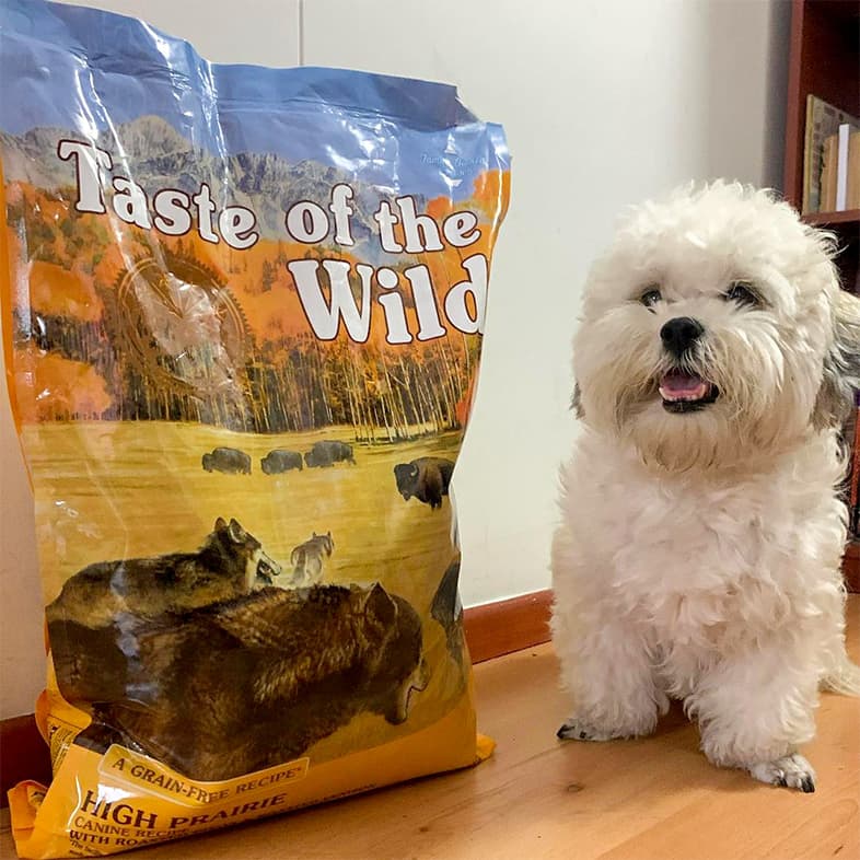 A small white dog sitting on the floor next to a bag of High Prairie Canine Recipe.