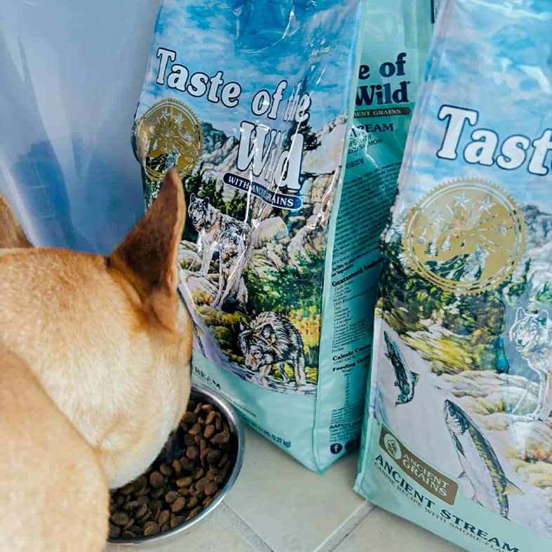 Tan dog sticking their head into a food bowl filled with kibble while blue Taste of the Wild dog food bags are propped up against the wall.