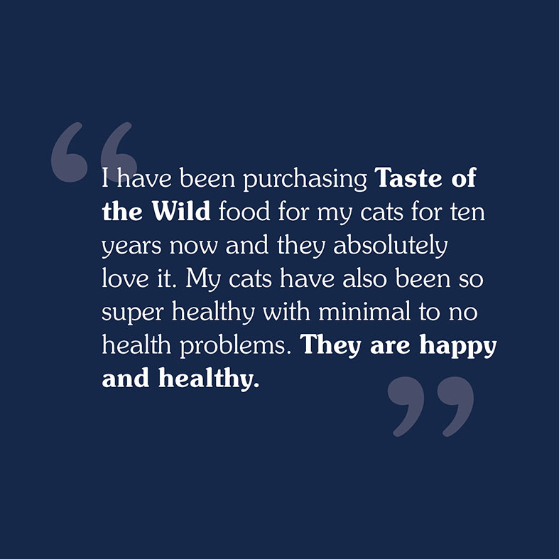 A text review that reads, 'I have been purchasing Taste of the Wild food for my cats for ten years now and they absolutely love it. My cats have also been so super healthy with minimal to no health problems. They are happy and healthy'.