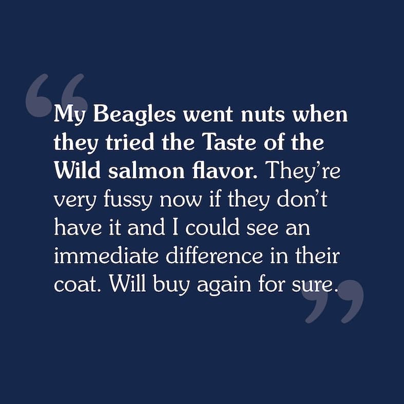 A review that reads, 'My Beagles went nuts when they tried the Taste of the Wild salmon flavor. They're very fussy now if they don't have it and I could see an immediate difference in their coat. Will buy again for sure'.