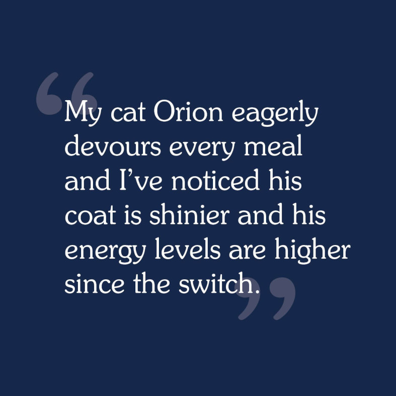 A review that reads, 'My cat Orion eagerly devours every meal, and I've noticed his coat is shinier and his energy levels are higher since the switch'.