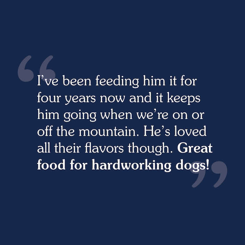 A text review image for Ancient Prairie Canine Recipe that reads 'I’ve been feeding him it for four years now and it keeps him going when we’re on or off the mountain. He’s loved all their flavors though. Great food for hardworking dogs'.