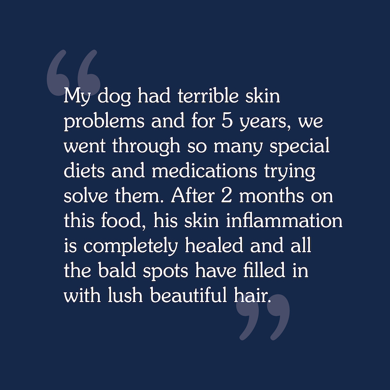 Text review image for Ancient Stream for Dogs.