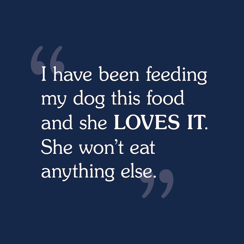 Text review image for Ancient Stream for Dogs.