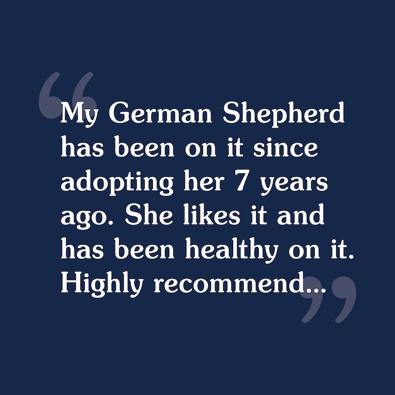 Text review image for Ancient Stream for Dogs.