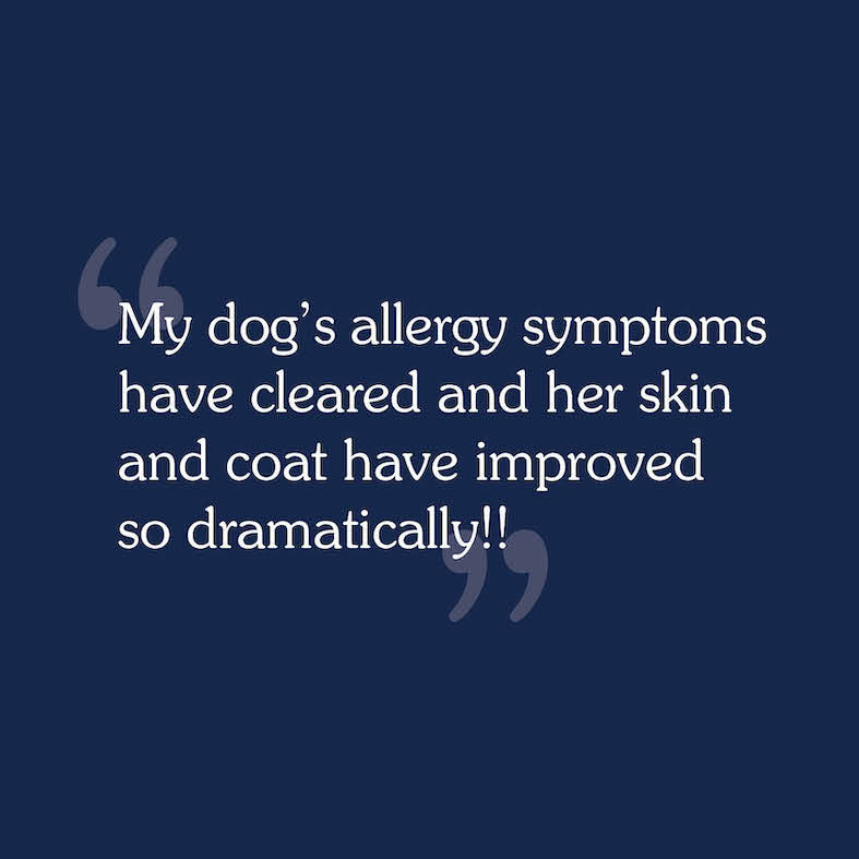 Text review image for Ancient Stream for Dogs.