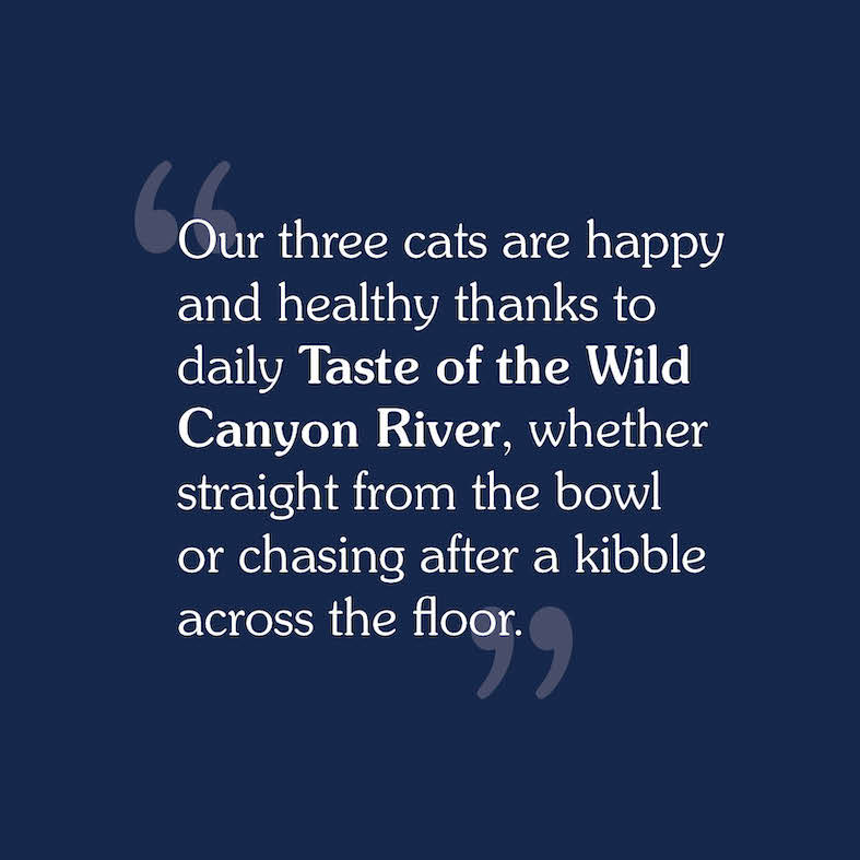 A text review image for Canyon River Feline Recipe that reads, 'Our three cats are happy and healthy thanks to daily Taste of the Wild Canyon River, whether straight from the bowl or chasing after a kibble across the floor'.