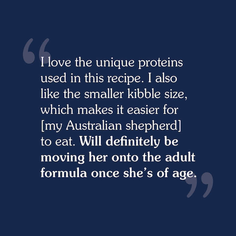 A consumer review that reads, 'I love the unique proteins used in this recipe. I also like the smaller kibble size, which makes it easier for [my Australian shepherd] to eat. Will definitely be moving her onto the adult formula once she’s of age'.