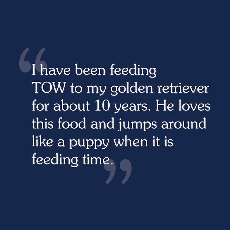 A consumer review that reads, 'I have been feeding TOW to my golden retriever for about 10 years. He loves this food and jumps around like a puppy when it is feeding time'.