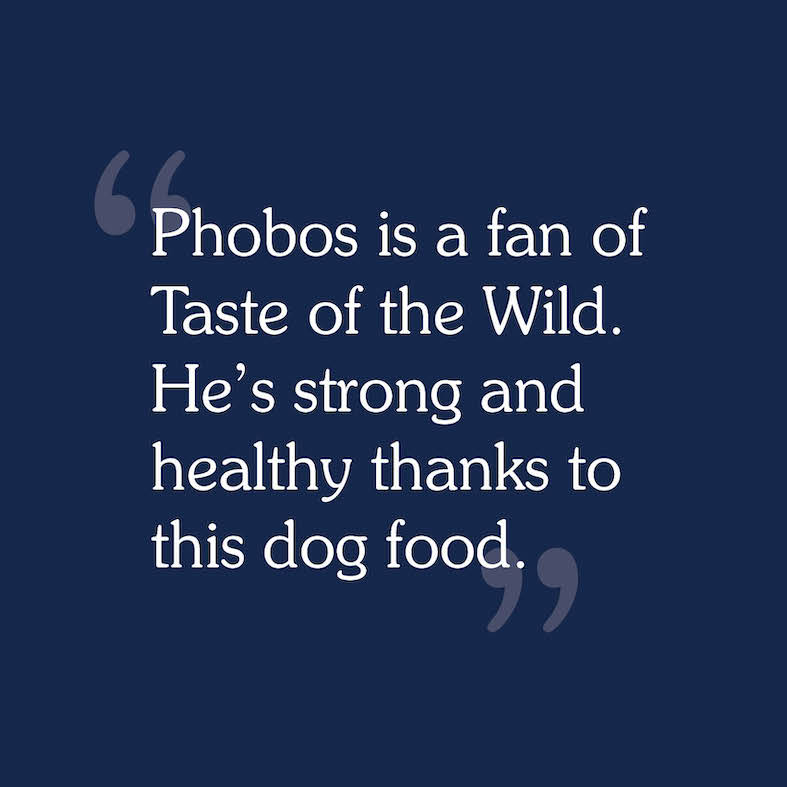 Text review image for Pacific Stream for Puppies.