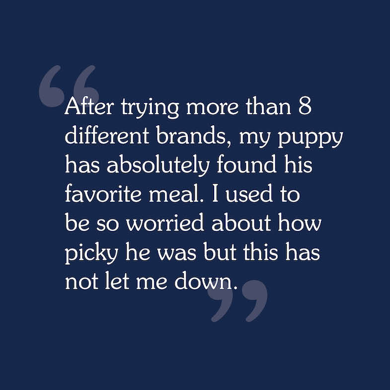 A text review image for Pacific Stream Puppy Recipe that reads, 'After trying more than 8 different brands, my puppy has absolutely found his favorite meal. I used to be so worried about how picky he was but this has not let me down'.