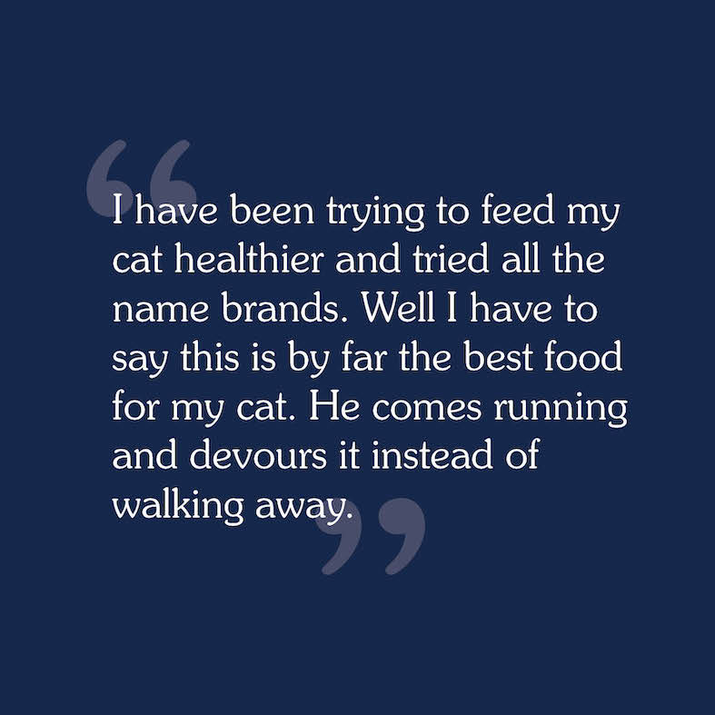 A consumer review for Rocky Mountain Feline Recipe that reads, 'I have been trying to feed my cat healthier and tried all the name brands. Well I have to say this is by far the best food for my cat. He comes running and devours it instead of walking away.'