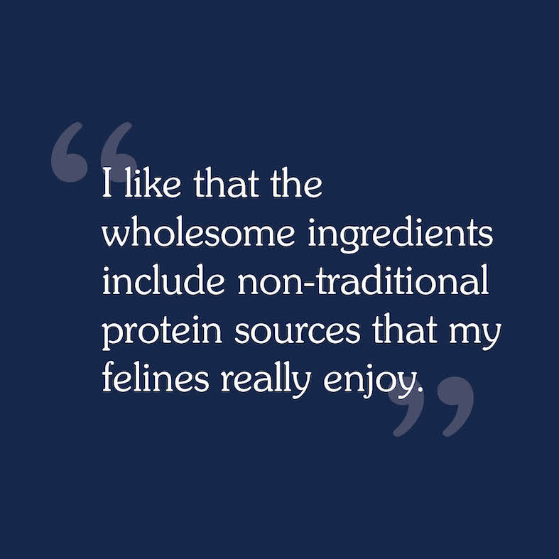 A text review image for Rocky Mountain Feline Recipe that reads, 'I like that the wholesome ingredients include non-traditional protein sources that my felines really enjoy'.