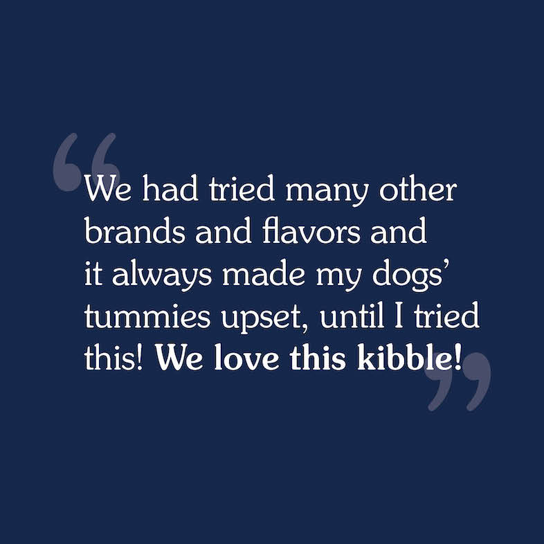 A consumer review that reads, 'We had tried many other brands and flavors and it always made my dogs' tummies upset, until I tried this! We love this kibble'.
