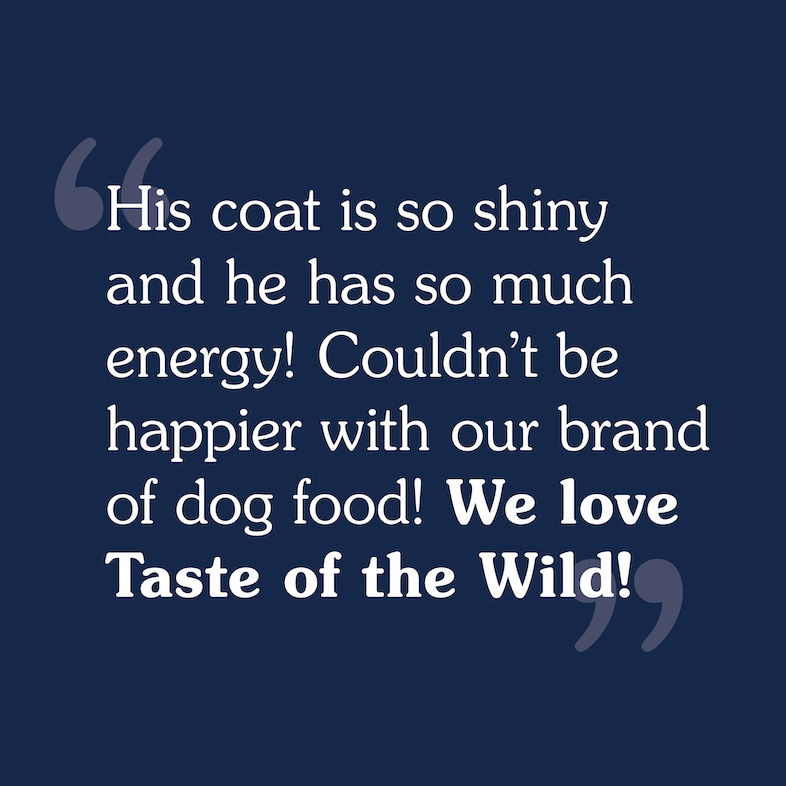 Text review image for Sierra Mountain for Dogs.