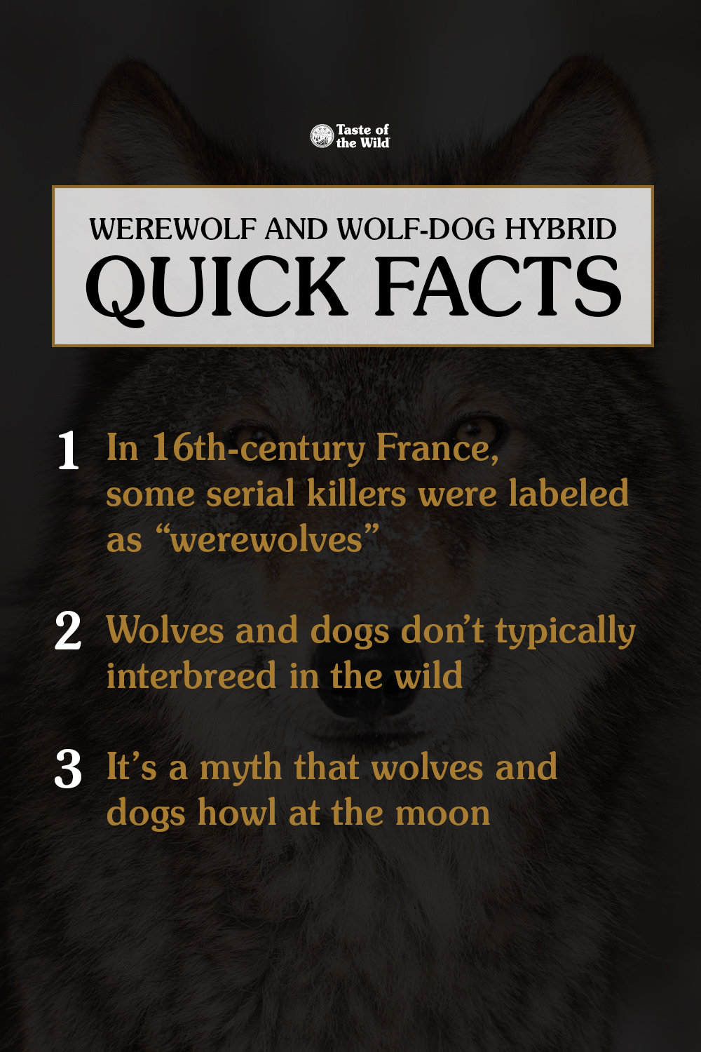 An interior graphic detailing three quick facts about werewolf and wolf-dog hybrids.