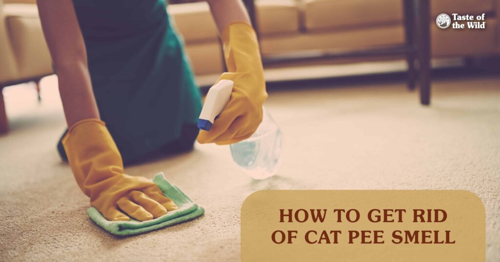 Two hands wearing yellow rubber gloves holding a spray bottle and a rag over white carpet.