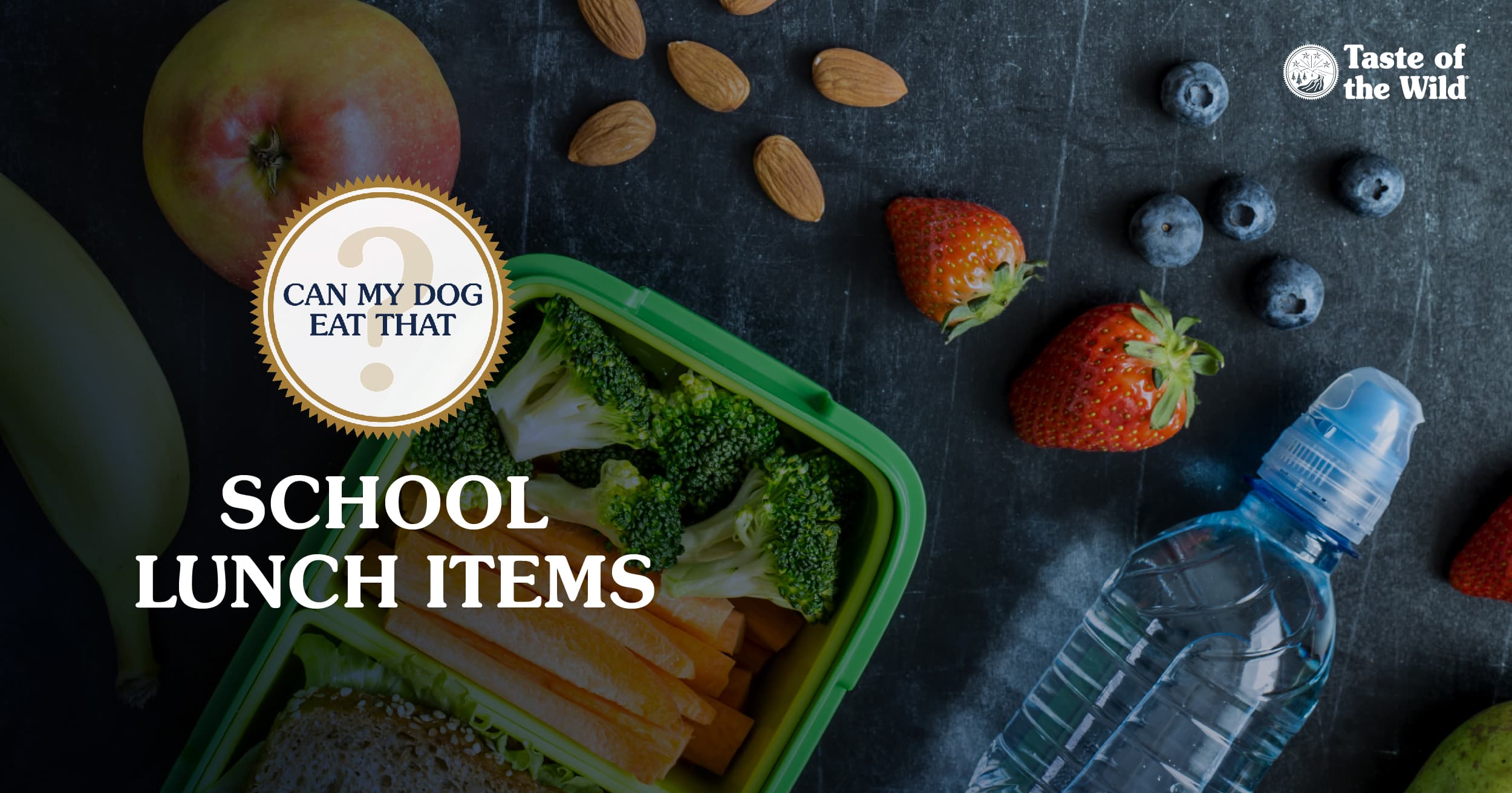 Interior graphic with text that reads ‘Can my dog eat school lunch items? It depends on what they are’.