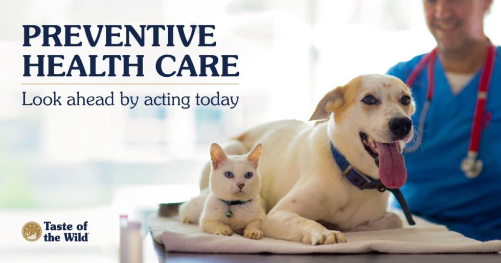 A veterinarian in scrubs examining a cat and a dog.