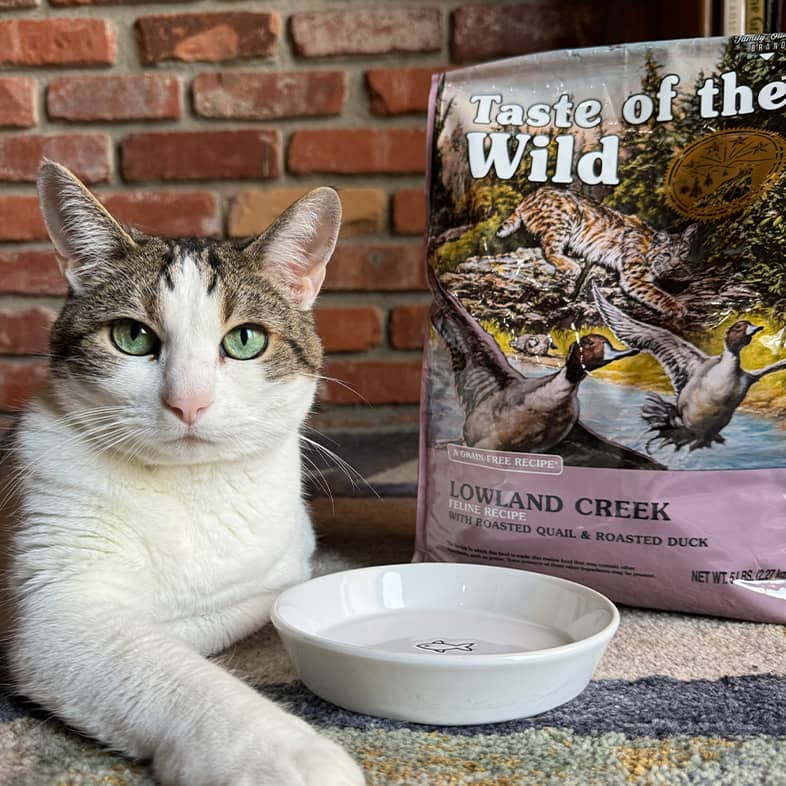 A white and gray American shorthair cat is lying down next to a Lowland Creek bag and has a white food bowl next to their paw.
