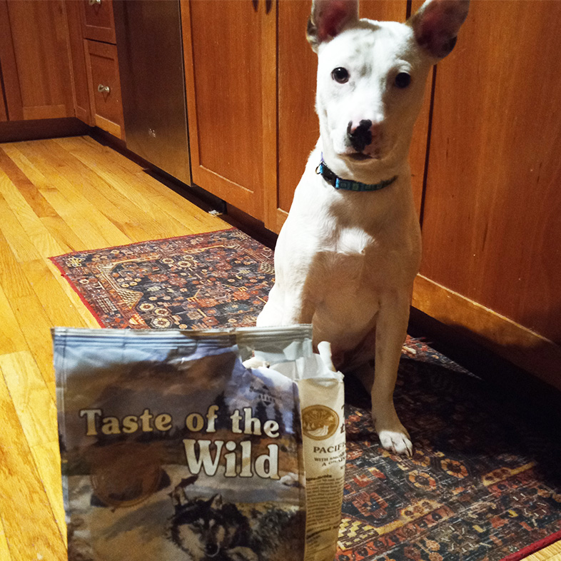 White mixed breed puppy sitting behind a Pacific Stream Puppy recipe bag.