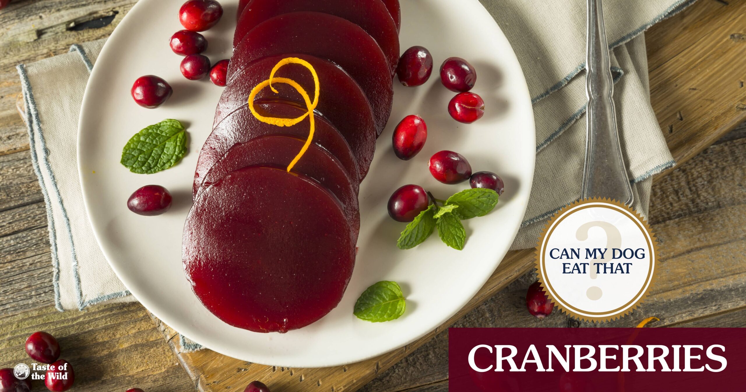 An interior graphic with text that reads ‘The Verdict: Can my dog eat cranberries? Yes. Plain and in moderation only’.