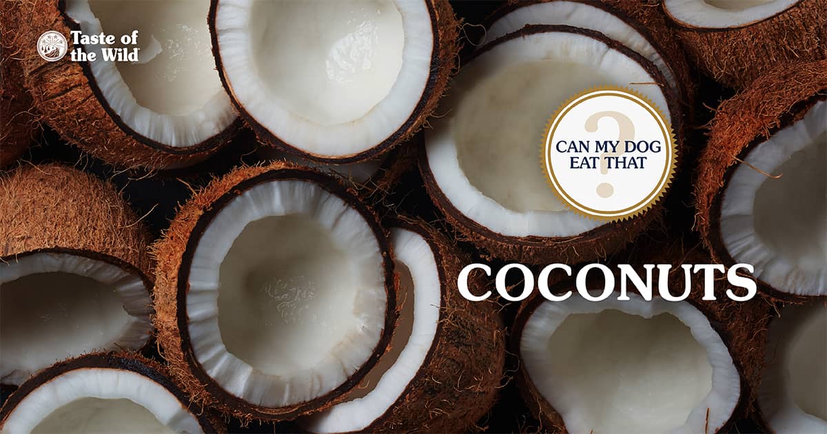 A close-up of a pile of coconuts cut in half.