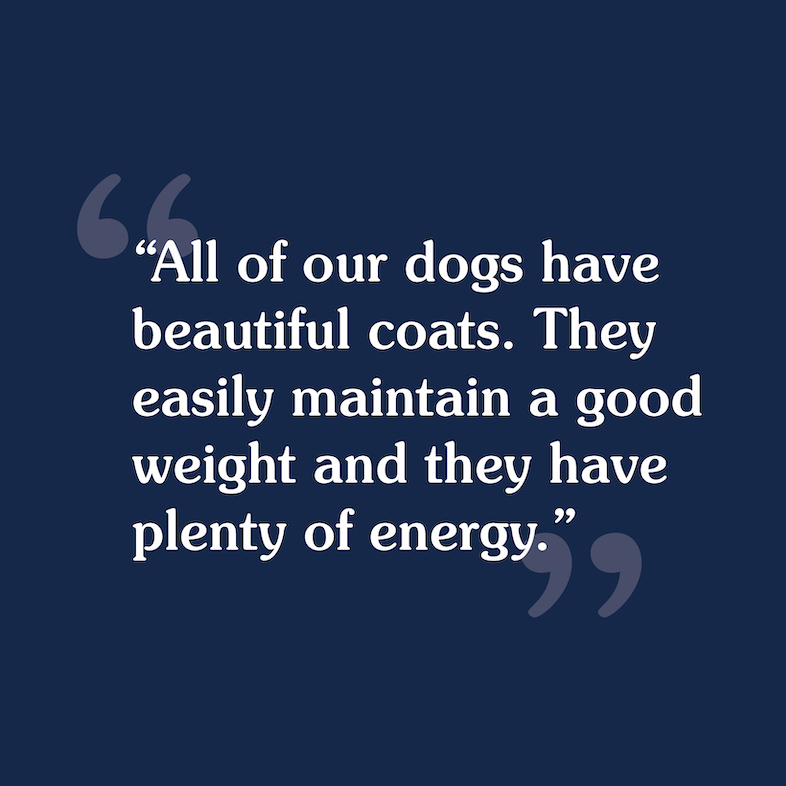 A customer review that reads, 'All of our dogs have beautiful coats — they easily maintain a good weight and they have plenty of energy'.