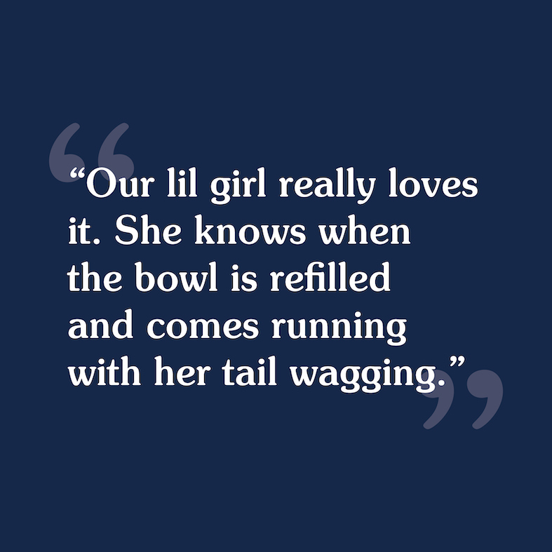 A customer review that reads, 'Our lil girl really loves it, she knows when the bowl is refilled and comes running with her tail wagging'.