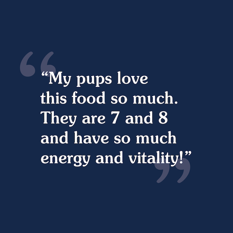 A customer review that reads, 'My pups love this food so much, they are 7 and 8 and have so much energy and vitality'.