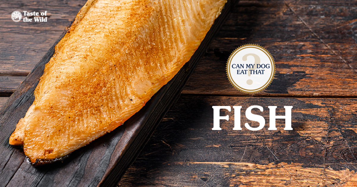 A slice of cooked fish served on a wooden serving board.