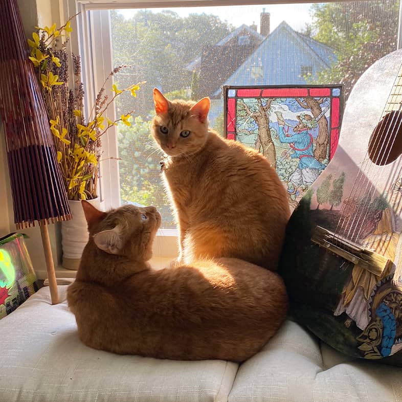 Two orange tabby cats lying on white cushions in front of a window next to an acoustic guitar.