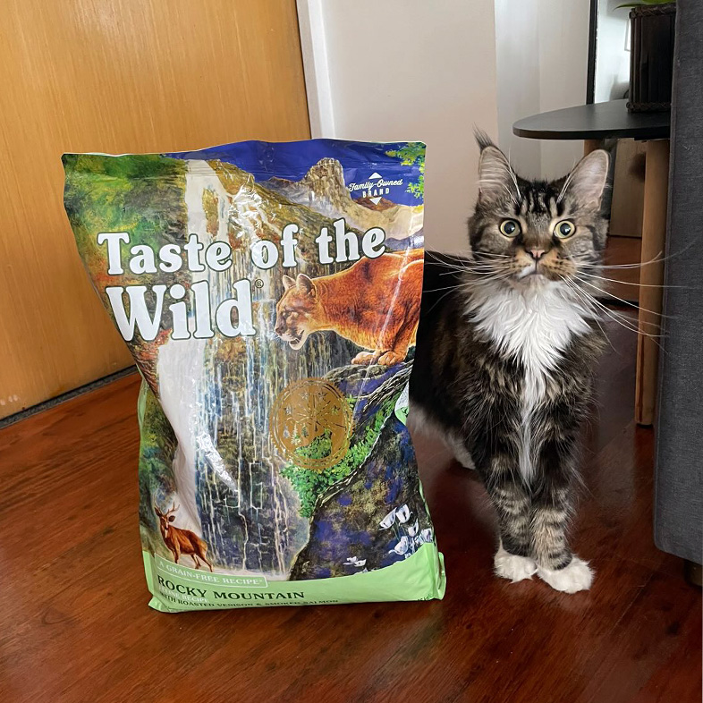 A white and black long-haired cat standing on the floor next to a bag of Taste of the Wild Rocky Mountain Feline Recipe.