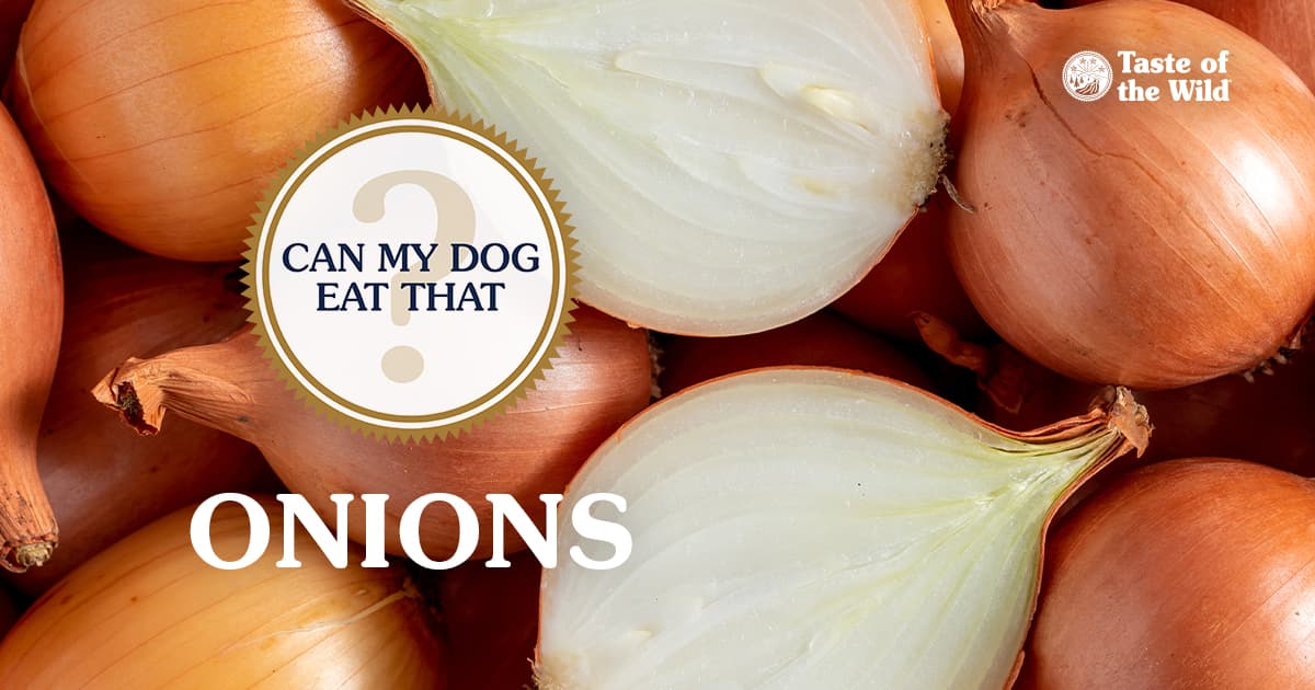 A pile of freshly grown onions with brown skins with two white sliced-opened halves sitting on top.
