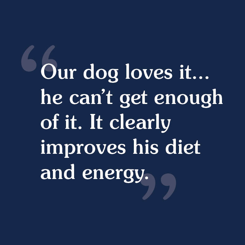 A customer review that reads, 'Our dog loves it... he can't get enough of it. It clearly improves his diet and energy'.