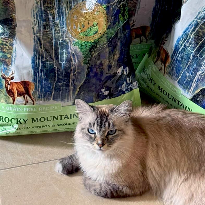 A tan long-haired cat lying on a tile floor in front of three bags of Rocky Mountain Feline Recipe with Roasted Venison & Smoke-Flavored Salmon.