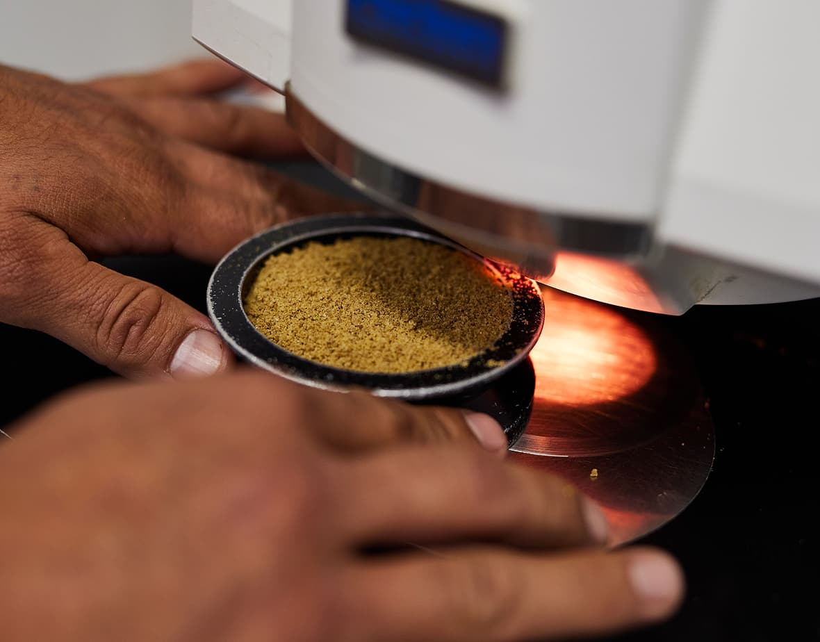 Yellow powder being looked at under a microscope.
