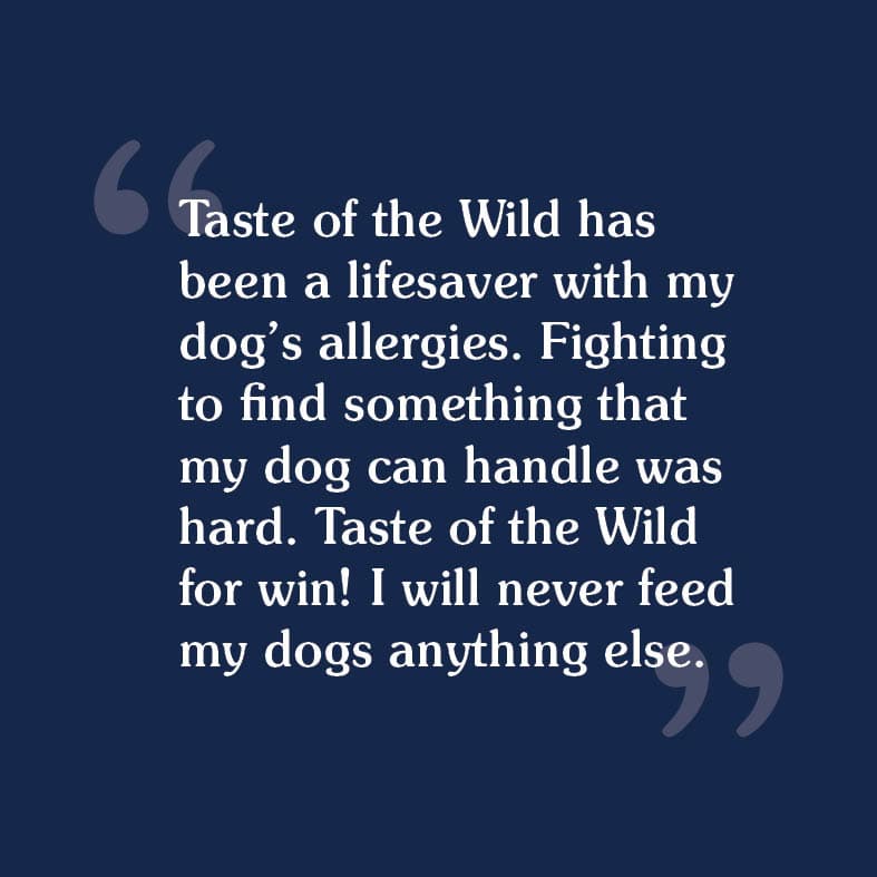 A customer review that reads, 'Taste of the Wild has been a lifesaver with my dog's allergies. Fighting to find something that my dog can handle was hard. I will never feed my dogs anything else'.