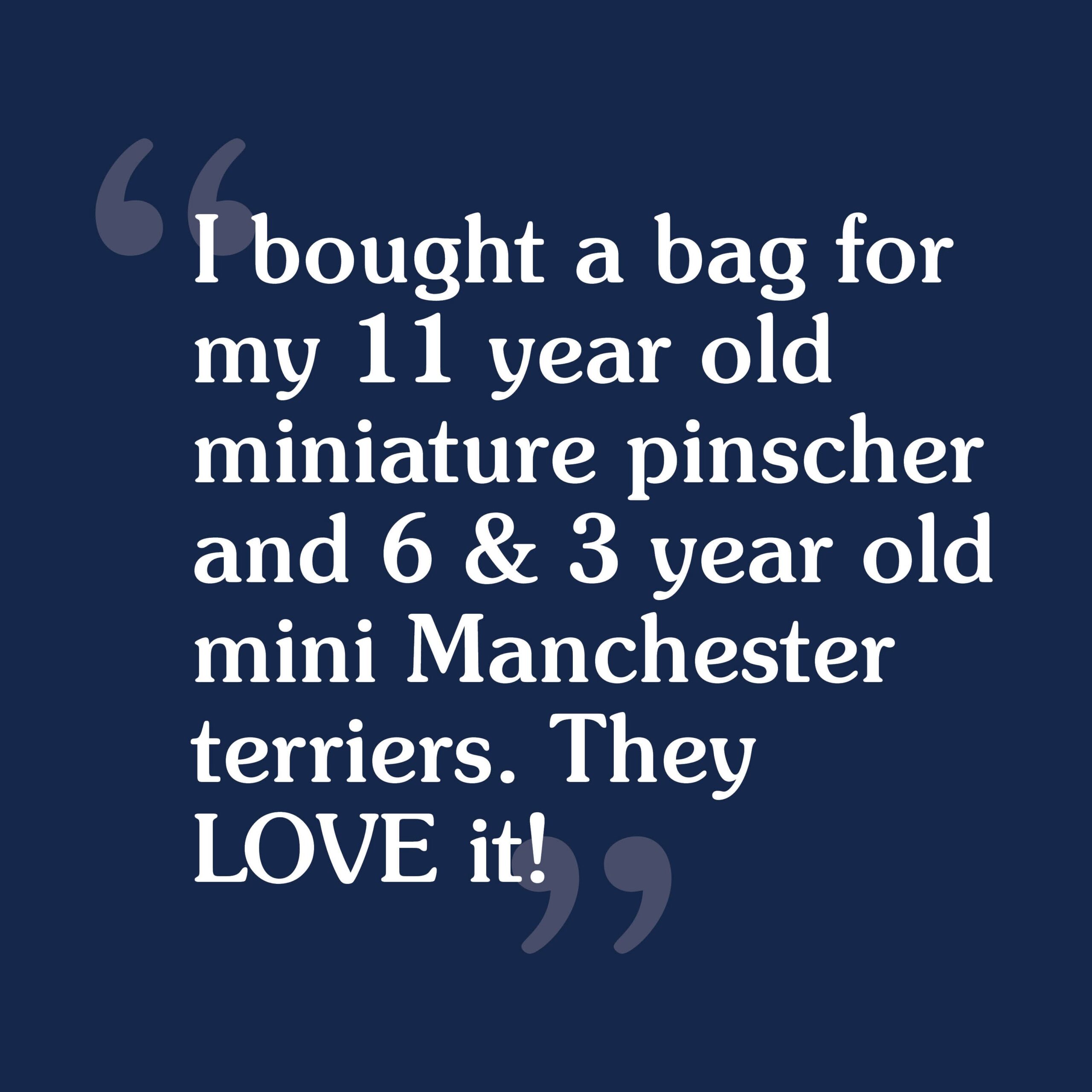 A customer review that reads, 'I bought a bag for my 11 year old miniature pinscher and my 6 and 3 year old mini Manchester terriers and they love it'.